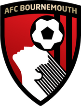 Load image into Gallery viewer, (PIEBREAKS!) 2022-23 PANINI ENGLISH PREMIER LEAGUE EPL TMALL(ASIA) PRIZM  SOCCER, PERSONAL BOX
