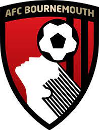 2024-25 Panini Prizm Premier League Soccer 12 Hobby Box Pick Your Team/Player EPLHB25 Case Break #PYTP7