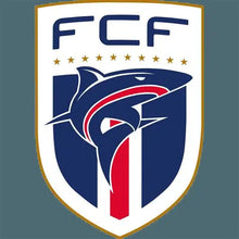 Load image into Gallery viewer, 2026 Panini Prizm FIFA World Cup (26WCP) - 12 Hobby Box - Pick Your Team/Player PYTP CASE BREAK #PYTP3
