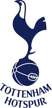 Load image into Gallery viewer, 2024-25 Panini SELECT English Premier League EPL Soccer 12 Hobby Box Pick Your Team/Player EPLS25 Case Break #PYTP12
