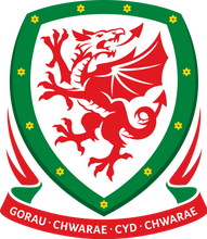Load image into Gallery viewer, 2022-23 SELECT FIFA (ASIA) SOCCER PERSONAL TMALL (ASIA) BOX
